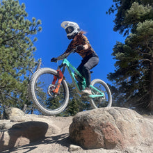 Load image into Gallery viewer, Lynt Crop Tee in Tiger