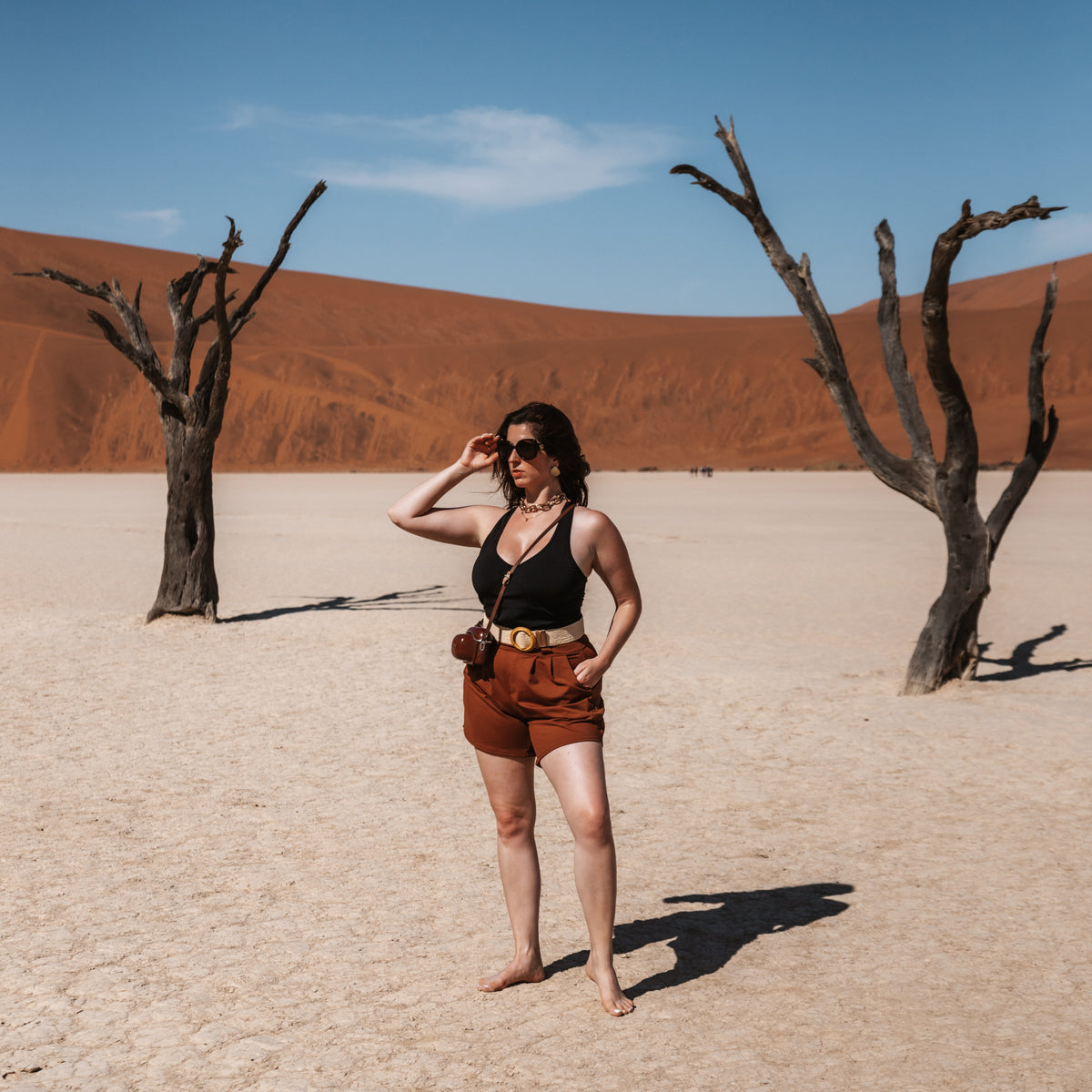 Pleated Shorts in Terra Cotta