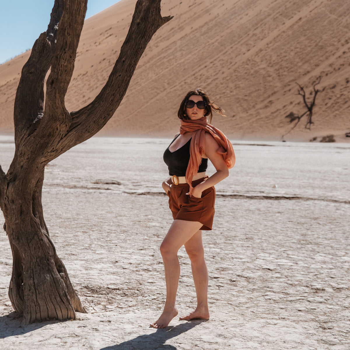 Pleated Shorts in Terra Cotta