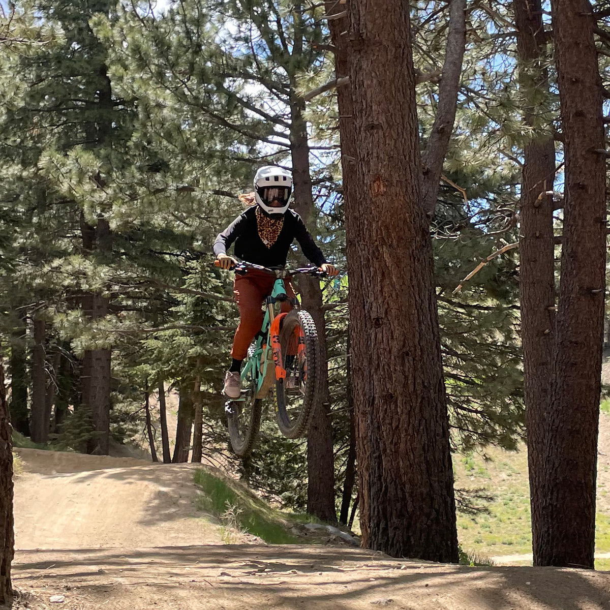 Lynt Trail Pants in Terra Cotta